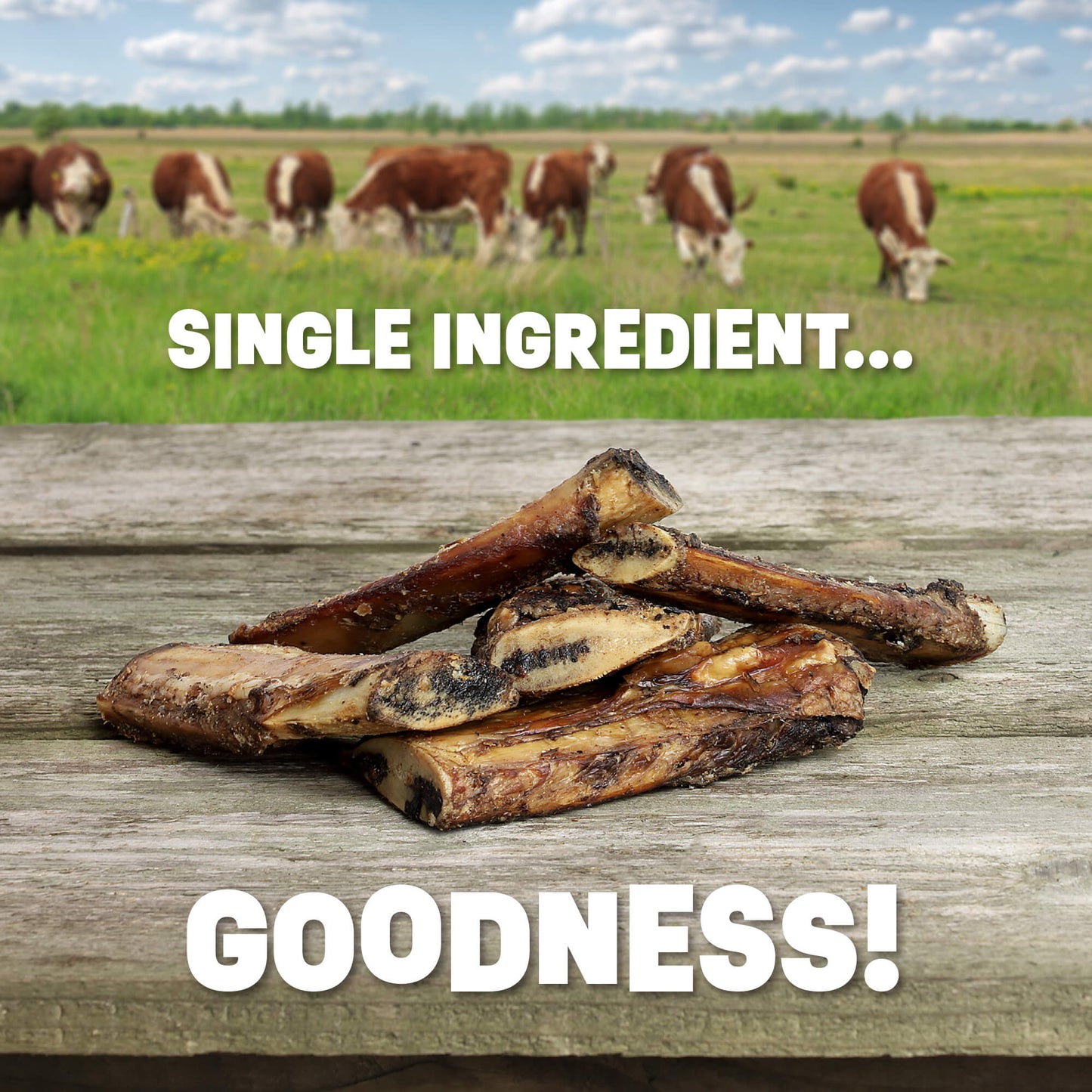 Beef Rib Bones