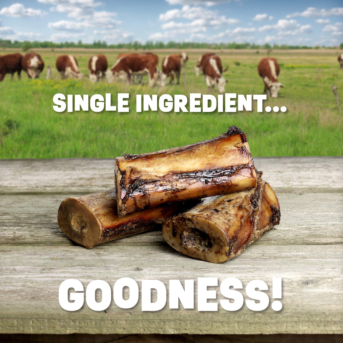 Beef Shank Bones