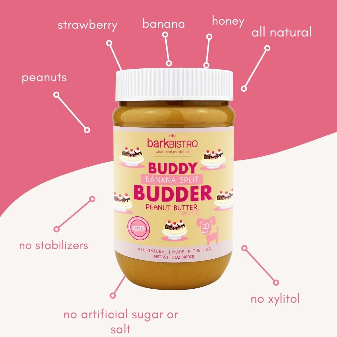 Buddy BUDDER Bark Bistro Company, Ruff Ruff Raw + Pumpkin Pup, Dog Peanut Butter, Healthy Dog Treat, Dog Enrichment, 100% Natural Dog Peanut Butter - Made in USA (Set of 2/ 17oz Jars)