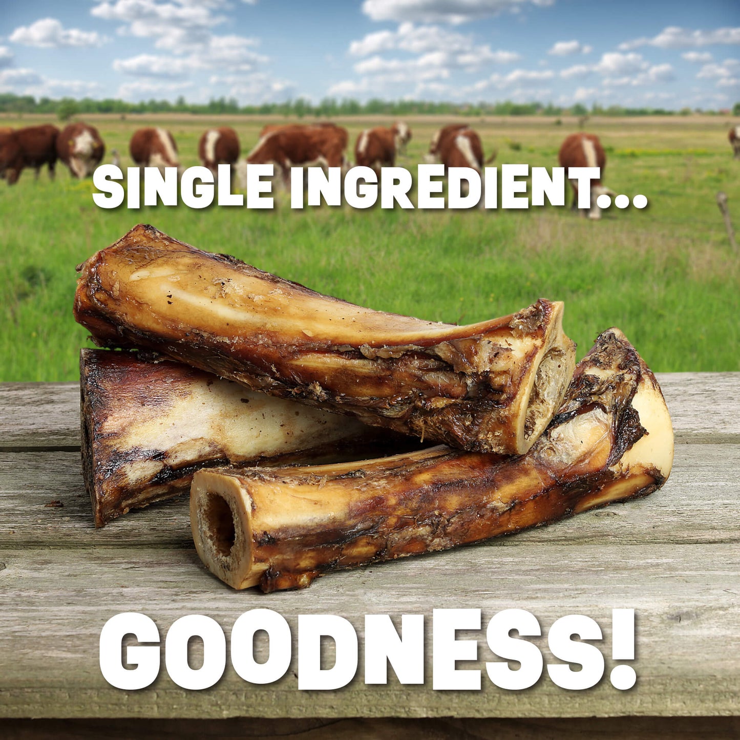 Beef Shank Bones