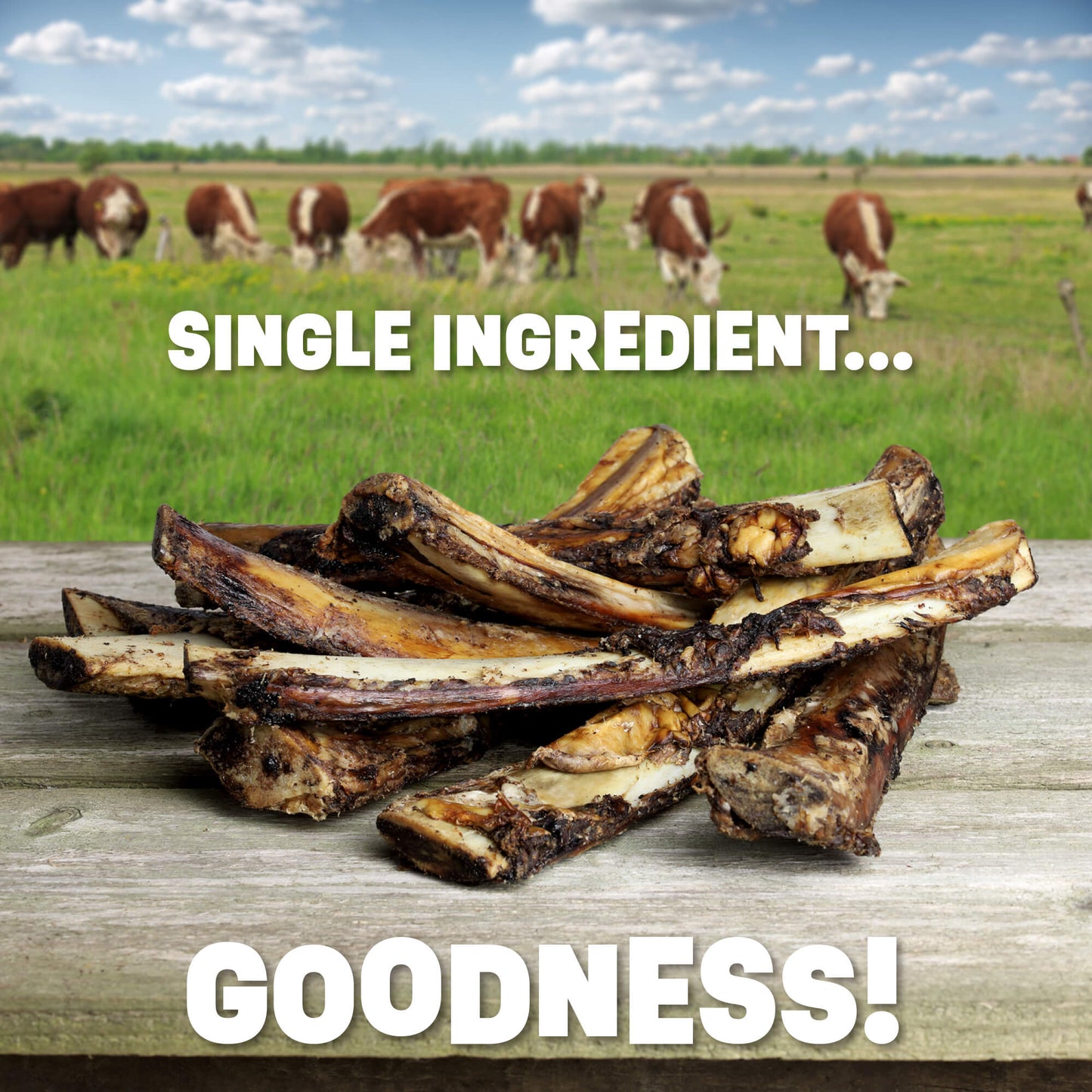 Beef Rib Bones