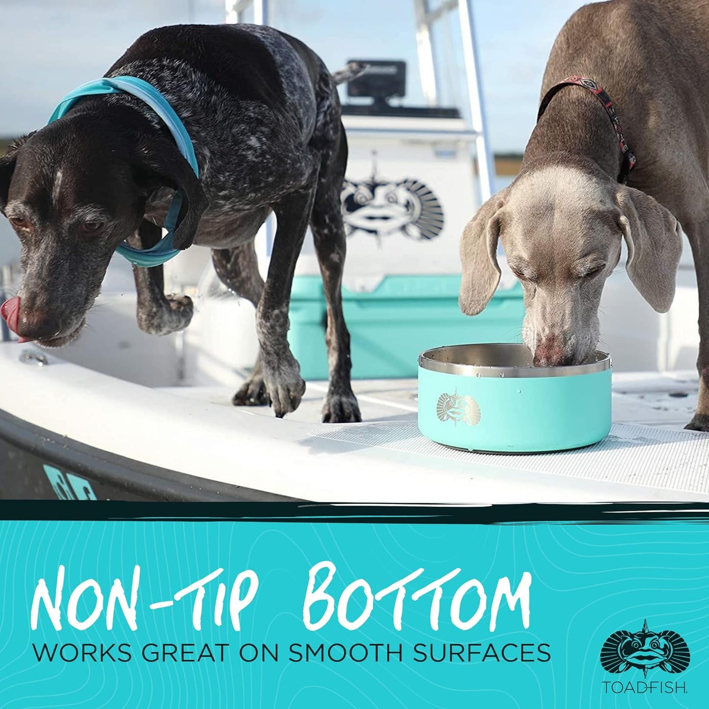 Toadfish Non-Tipping Dog Bowl - Double-Walled Stainless Steel Insulated - Smart-Grip Technology - Includes Cover - Pet Food & Water Dish - Teal