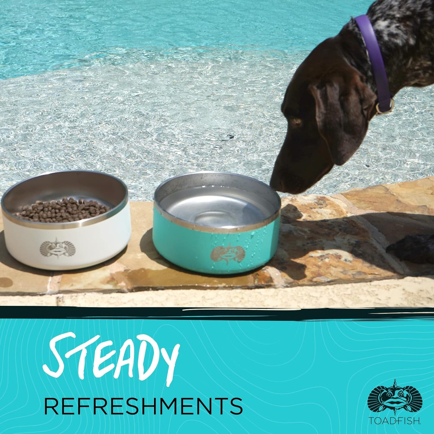 Toadfish Non-Tipping Dog Bowl - Double-Walled Stainless Steel Insulated - Smart-Grip Technology - Includes Cover - Pet Food & Water Dish - Teal