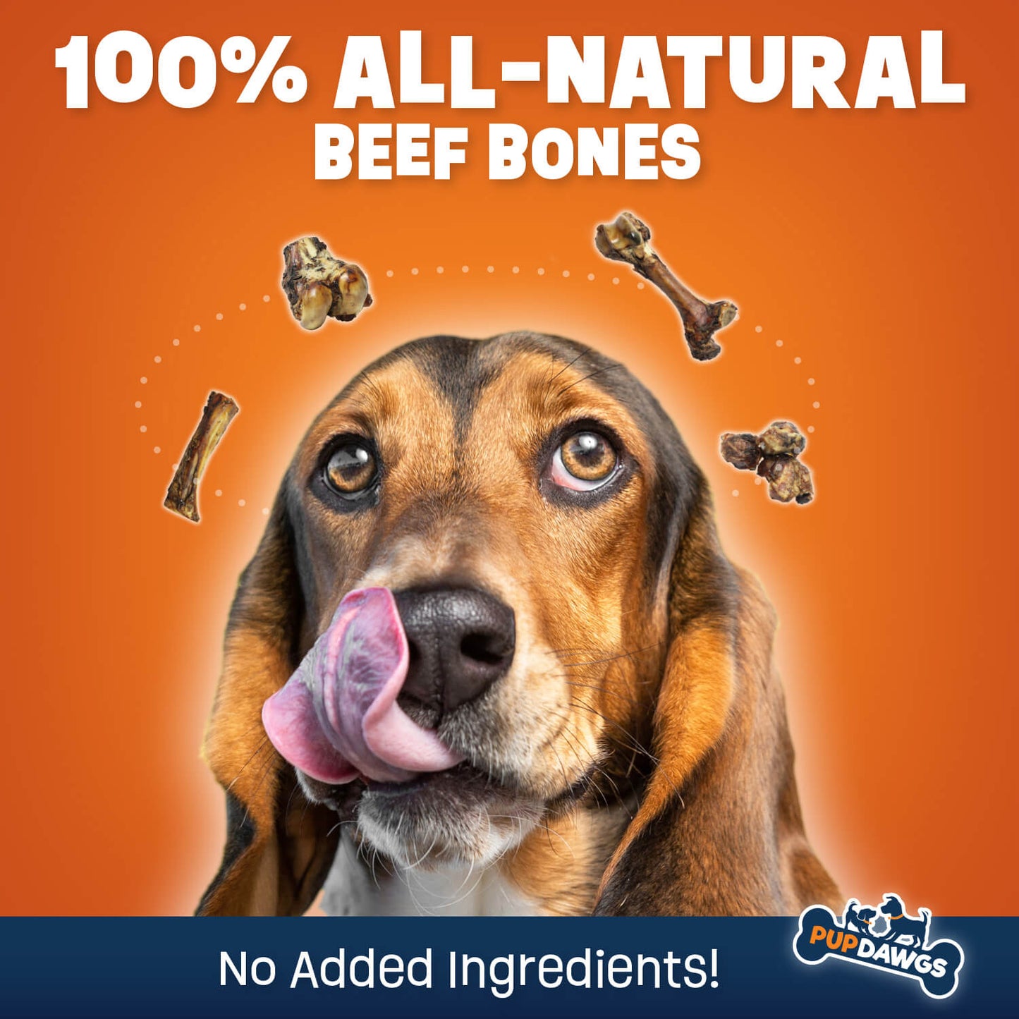 Beef Rib Bones