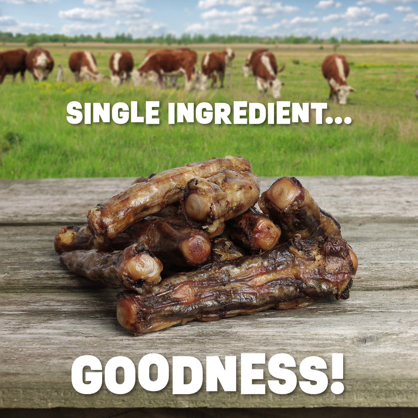 OX Tail Treats
