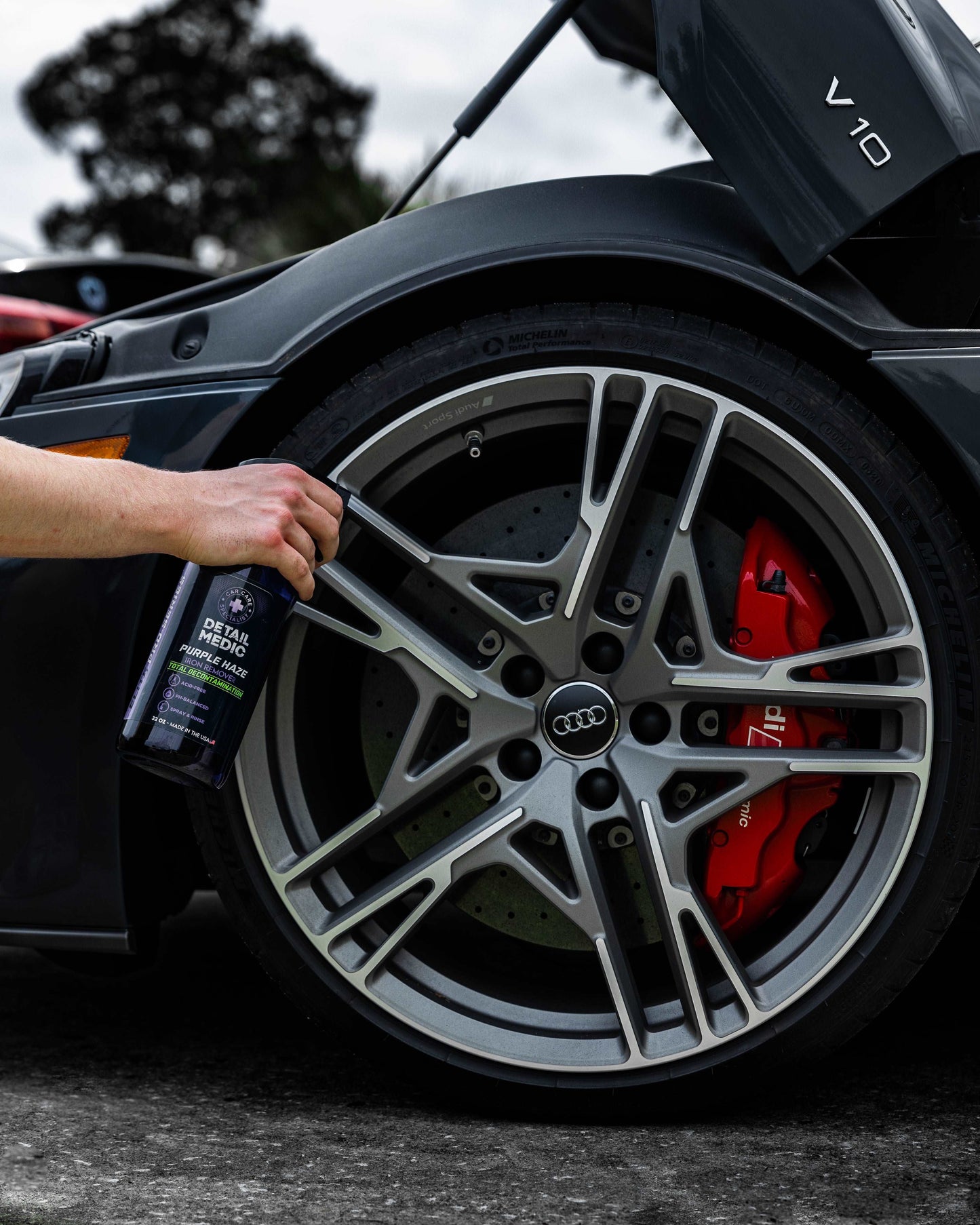 Detail Medic Elite Pro Series Iron Remover & Fallout Spray