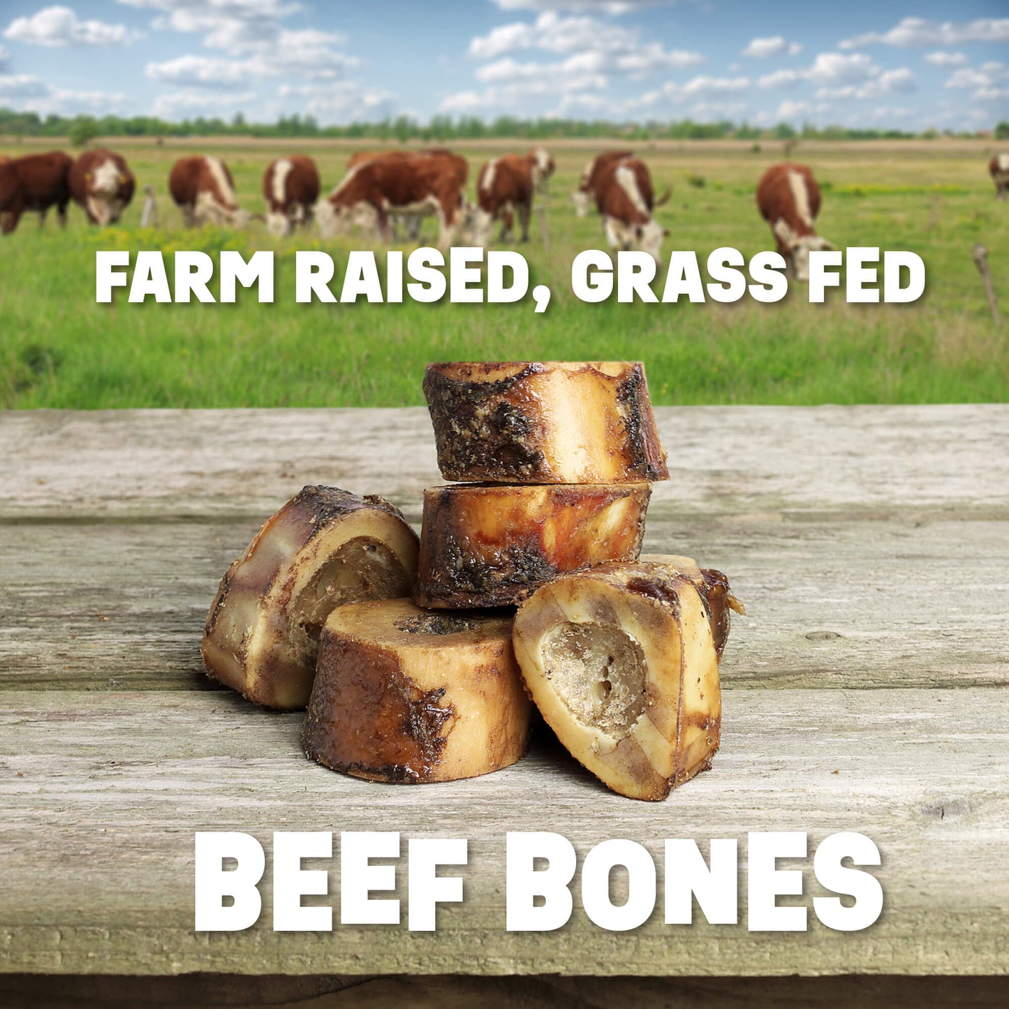 Beef Bone Slices