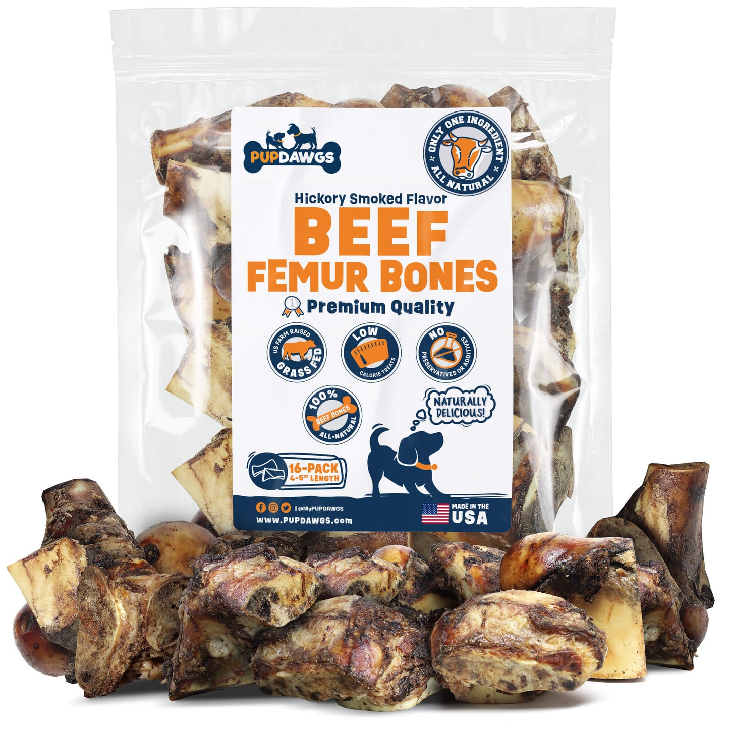 Beef Femur Bones